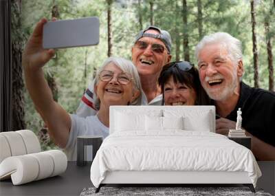 Four cheerful senior people in the mountain park looking at  phone for a selfie - Group of smiling retiree enjoying nature and trekking day together Wall mural