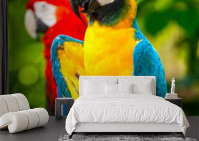 Colorful blue parrot macaw Wall mural