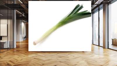 one fresh leek isolated, png file Wall mural