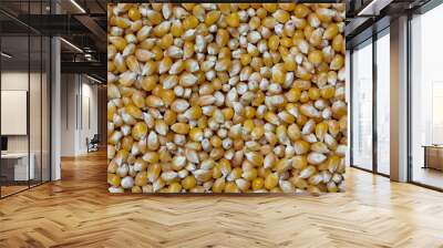 Popcorn grain texture and background Wall mural