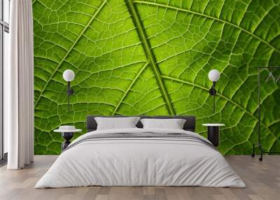 green leaf Wall mural