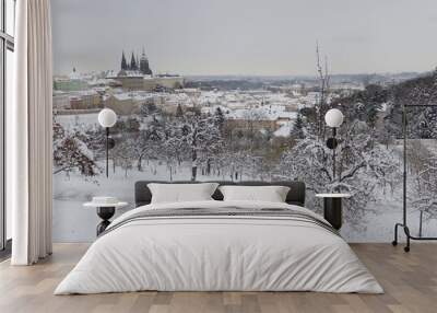 prahue petrin hill mountain garden in snowy winter Wall mural