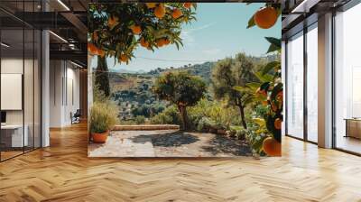 ripe oranges hanging on trees in sunny spanish orange garden travel photography Wall mural