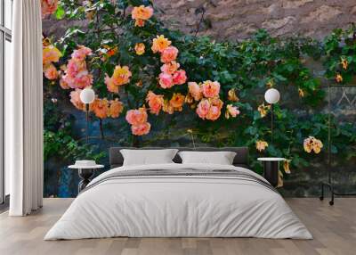 Superb cluster of orange and pink roses on an old stone wall. The photo was taken in a small, very rural French village on the wall of a farm. Wall mural