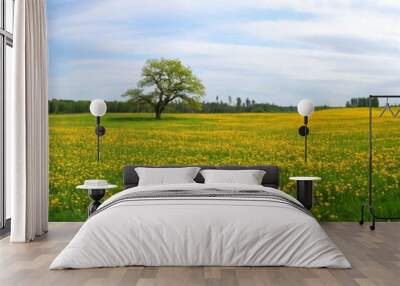 Panorama of dandelion field Wall mural