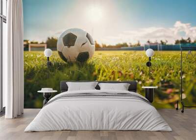 Soccer Ball on a Grass Field Wall mural