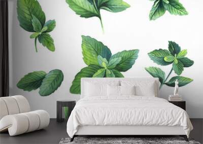 Set of realistic mint and peppermint leaves. Isolated on background. Hand drawn watercolor botanical illustration. Wall mural