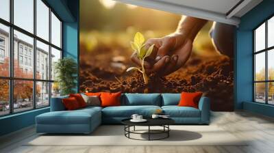 Male hands touching soil on the field. Expert hand of farmer checking soil health before growth a seed of vegetable or plant seedling. Business or ecology concept. Wall mural