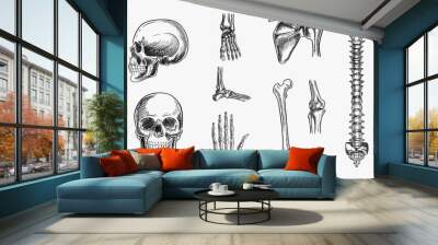 human skeleton, bones and joints, isolated on white background. vector hand drawn sketch illustration. doodle anatomy icons set Wall mural