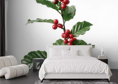 A sprig of coffee plant with red cherries and green leaves cut out transparent isolated on white background PNG Wall mural