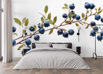 Branch of Blueberries with Leaves cut out transparent isolated on white background PNG Wall mural