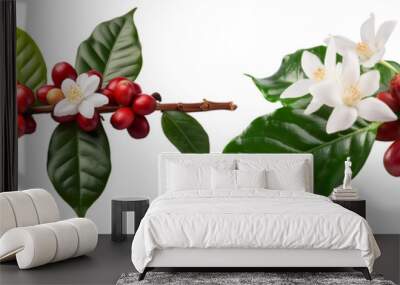 coffee plants featuring vibrant red berries and white flowers. The lush green leaves provide a striking contrast cut out transparent isolated on white background PNG Wall mural