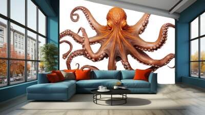 octopus cut out transparent isolated on white background ,PNG file ,artwork graphic design illustration. Wall mural