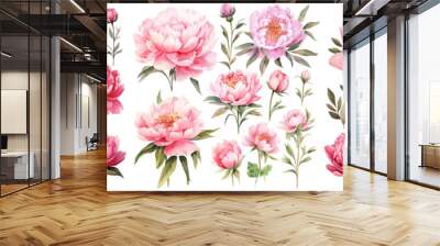 Set of Sweet pink peonies flower ,Watercolor collection of hand drawn flowers , Botanical plant illustration transparent background, PNG ,Generative AI Wall mural