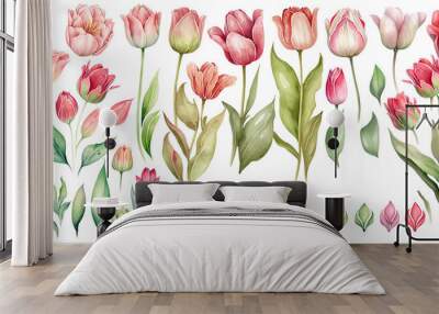 Set of Tulip flower soft pink and red color Watercolor, spring collection of hand drawn flowers , Botanical plant illustration , elegant watercolor ,transparent background, PNG. Wall mural