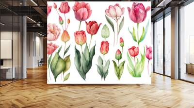 Set of Tulip flower soft pink and red color Watercolor, spring collection of hand drawn flowers , Botanical plant illustration , elegant watercolor ,transparent background, PNG. Wall mural