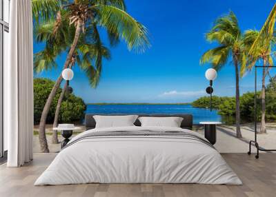 Beautiful tropical beach with palm trees and turquoise sea in Caribbean island.	 Wall mural