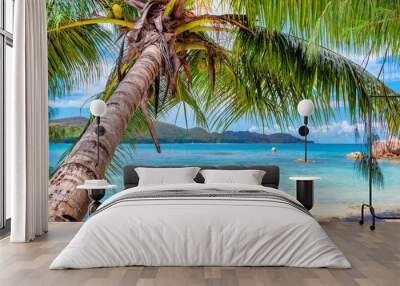 Palm tree on tropical island and turquoise sea.  Summer vacation and travel concept.   Wall mural