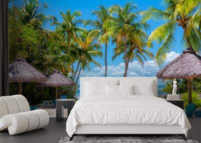 Palm trees and umbrellas in beautiful beach in tropical island resort, Key Largo. Florida Wall mural