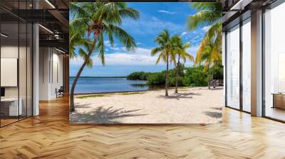 Sunny beach with coco palms and tropical sea in Key Largo beach, Florida. Wall mural