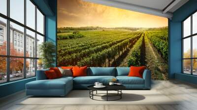 Beautiful vineyard with sunset sky Wall mural