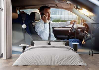 Businessman using phone in the car. Wall mural