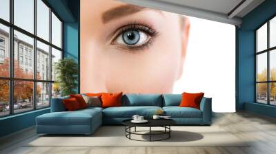 Close up of beautiful blue eye Wall mural