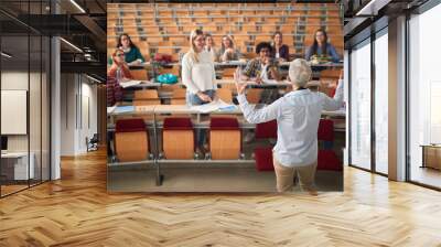 Female elderly professor answering student's questions Wall mural