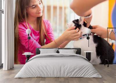 Girl with cat comforting her pet in vet clinic Wall mural