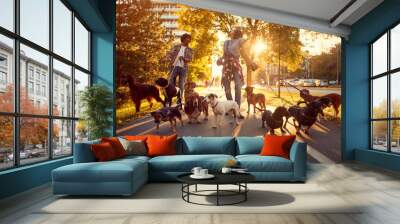 Happy girl and man dog walker with dogs enjoying in walk.. Wall mural