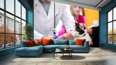 Professional cutting claws in vet clinic Wall mural