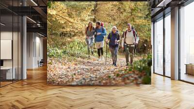 Woman and men hiking in forest Wall mural