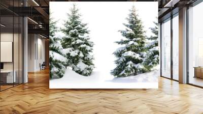 Collection of christmas Trees with Snow isolated on transparent or white background Wall mural