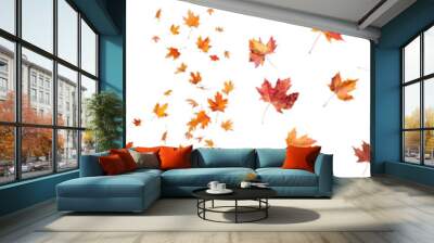 Collection of falling isolated autumns colored maple leaves isolated on transparent or white background Wall mural