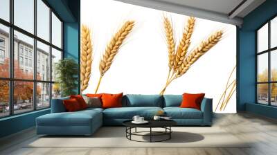 Collection of golden wheat stalks isolated on white background Wall mural