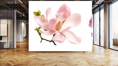 Collection of magnolia flowers isolated on transparent or white background Wall mural