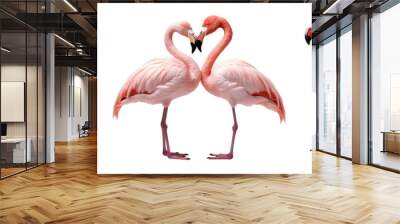 Collection of flamingoes isolated on transparent or white background Wall mural