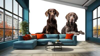 Group of dogs isolated on transparent or white background Wall mural