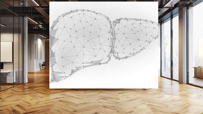 Human Liver Internal Organ Triangle Low Poly. Connected dots blue color technology 3d model medicine healthy body part vector illustration Wall mural