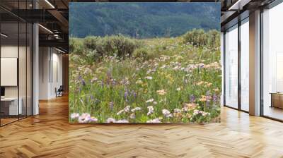 flowers in the mountains Wall mural