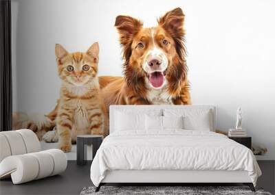 Golden Border Collie and Orange Tabby Kitten Sitting Together on Transparent Background. High Resolution Professional Photography of Adorable Pets with Paws on Ground.  Wall mural