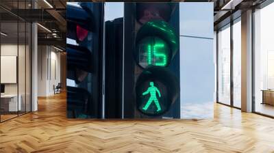 A traffic light pedestrian walking signal, with fifteen seconds left of a green light Wall mural