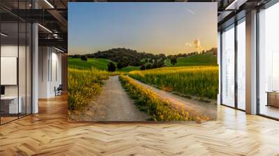 Panorámica de un campo de cultivo de cereal al atardecer.  Wall mural