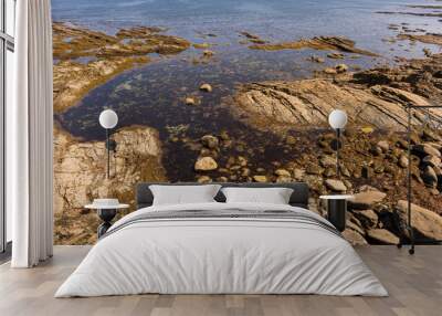 rocks on the coast Wall mural