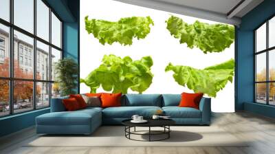 Fresh lettuce leaves isolated on white background Wall mural