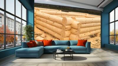 Drying and assembly of wooden log house at a construction base. Wall mural