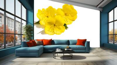 Floral arrangement of yellow inflorescences of the evening primrose flower on a white isolated background, for design. Wall mural