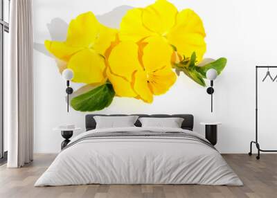 Flower arrangement of inflorescences of yellow pansies on a white background, design element. Wall mural