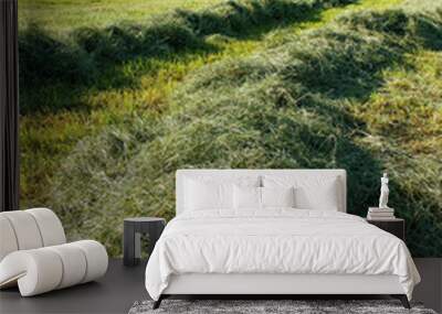 Mowed hay. Wall mural