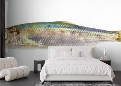 One Baltic herring. Wall mural